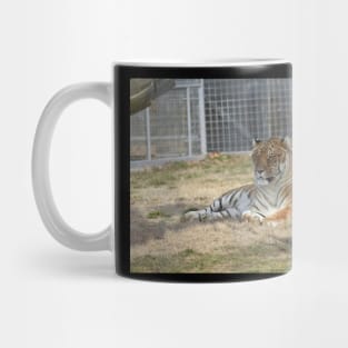 Tiger Mug